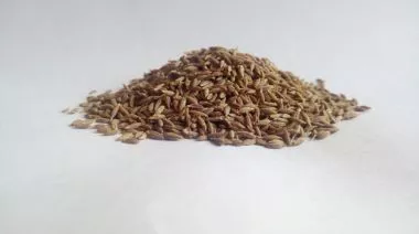 garnishing-instructions-image